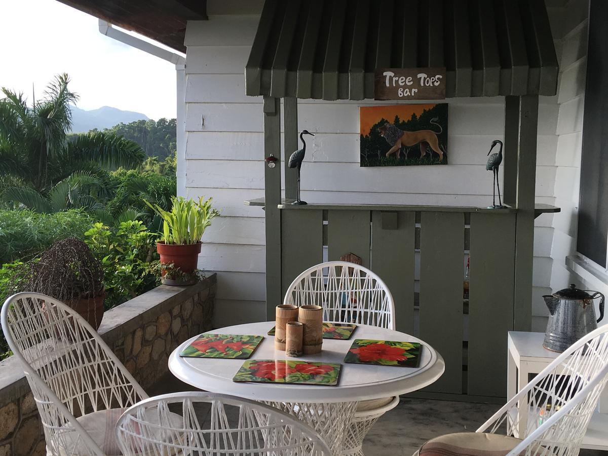 Treetops Villa Port Antonio Exterior foto